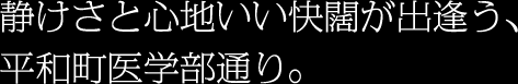 COLLOCATION　静けさと心地いい快闊が出逢う、平和町医学部通り。